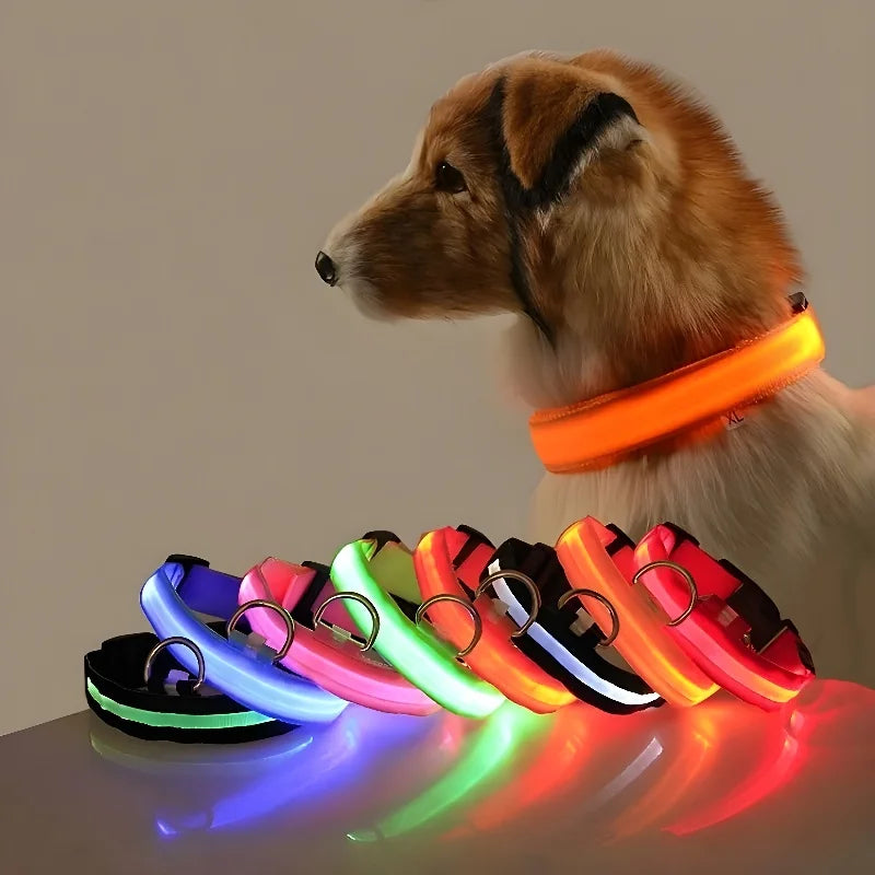 LED Dog Collar Nylon Glow In The Dark Safety-0