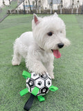 Interactive football toy for dogs - view 2