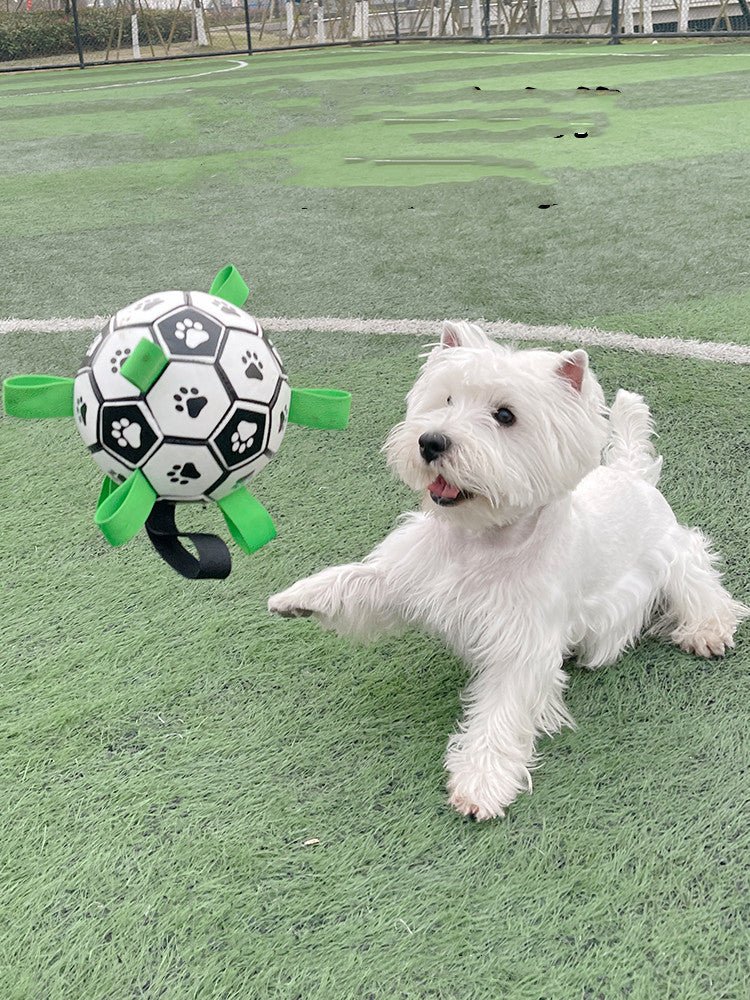 Interactive football toy for dogs - view 4