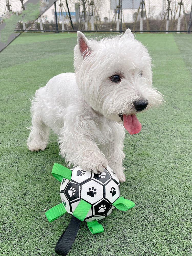 Interactive football toy for dogs - view 5