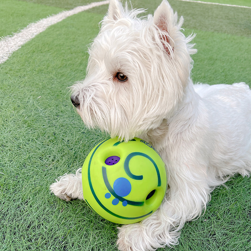 Interactive football toy for dogs - view 6